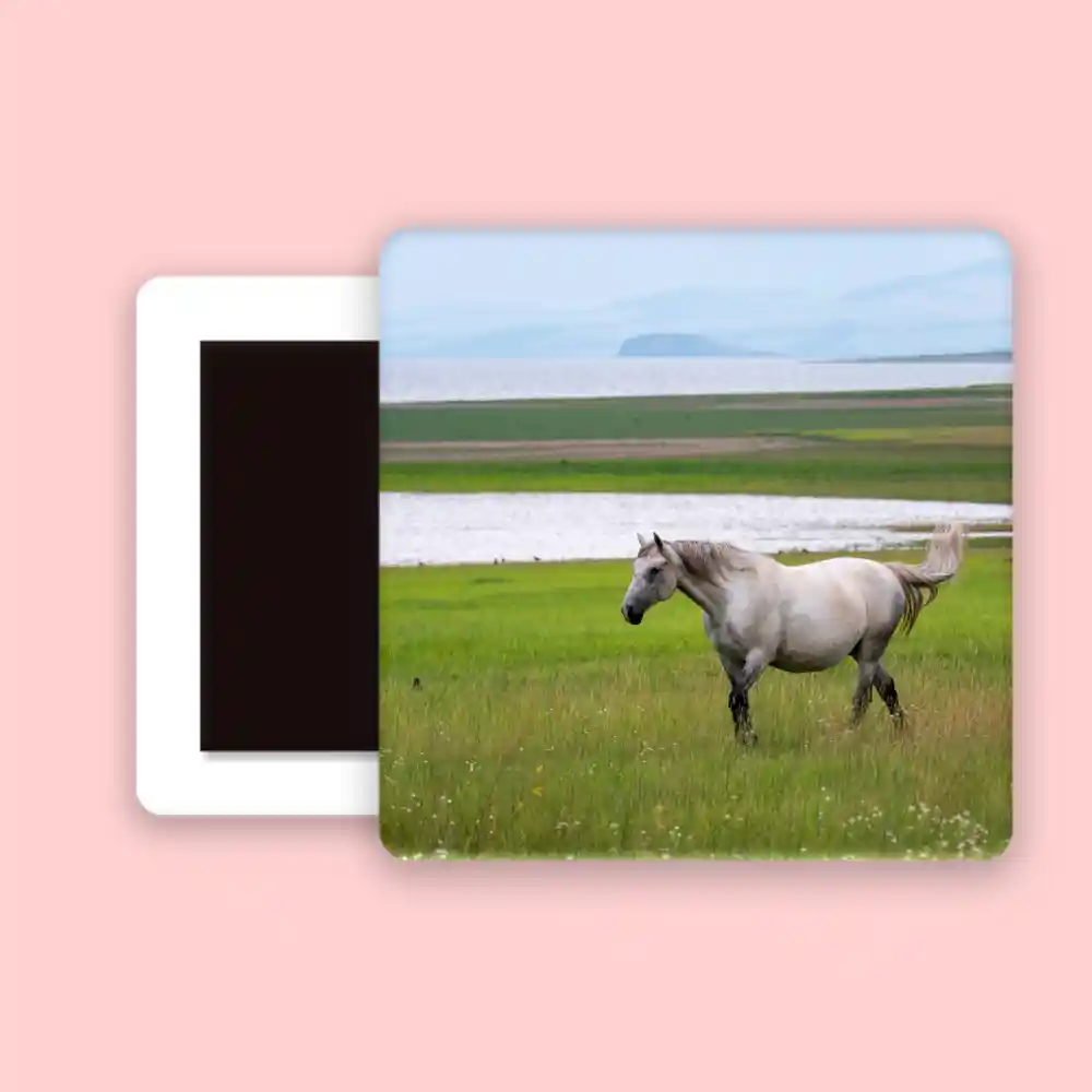 Horse Fridge Magnet