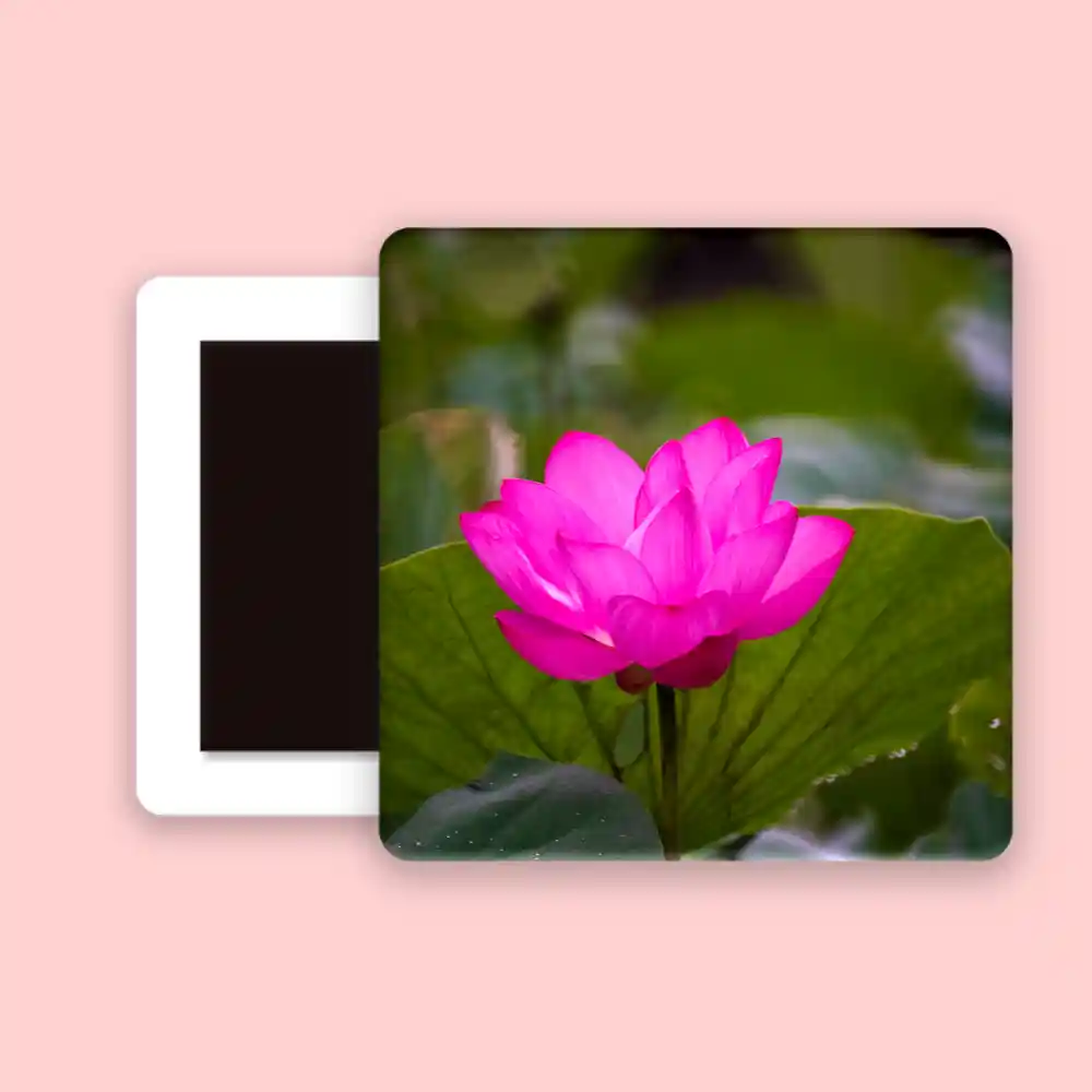 Lotus Fridge Magnet - Image 2