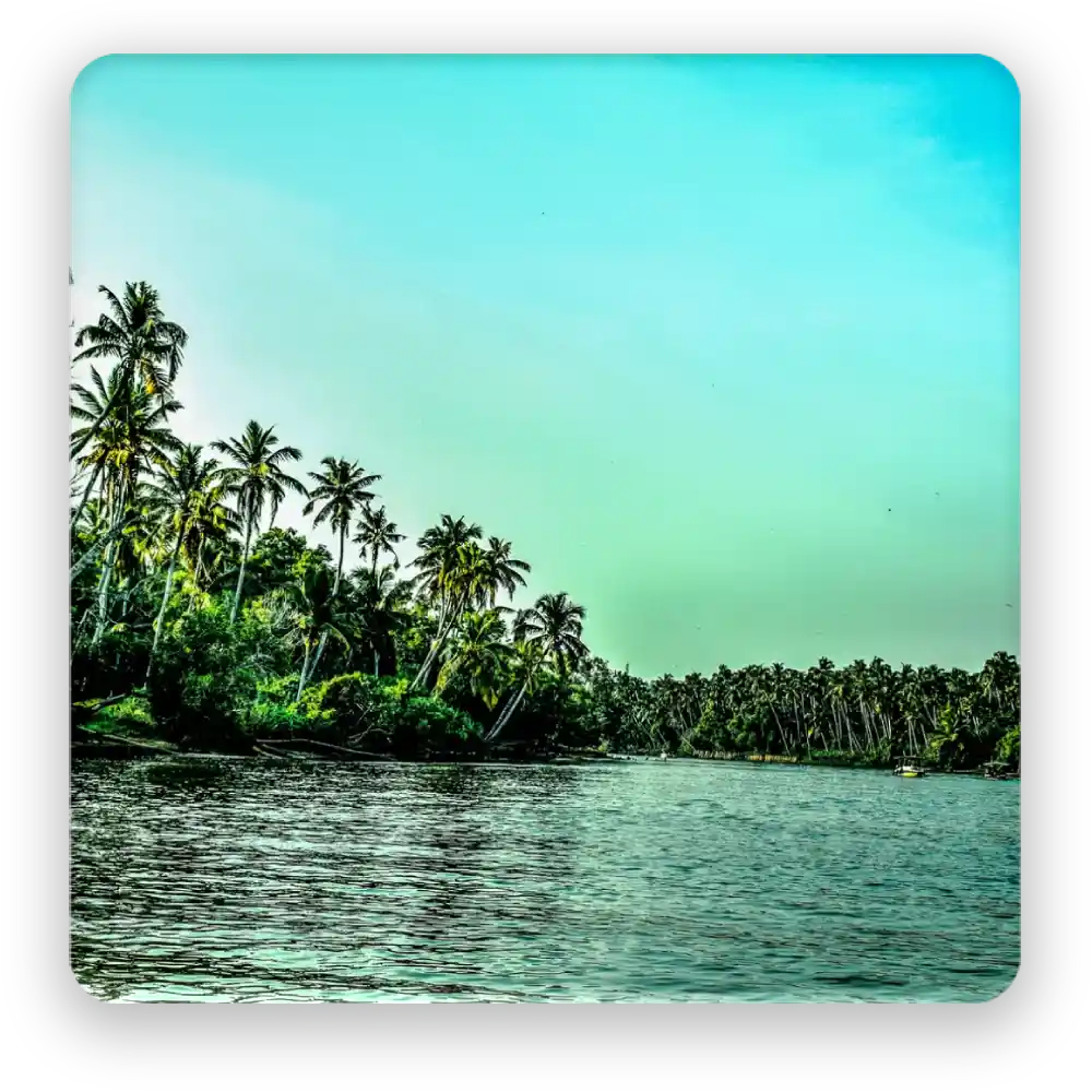 Scenic River Fridge Magnet