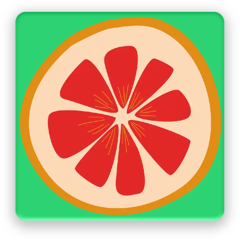 Fruit Cut Fridge Magnet