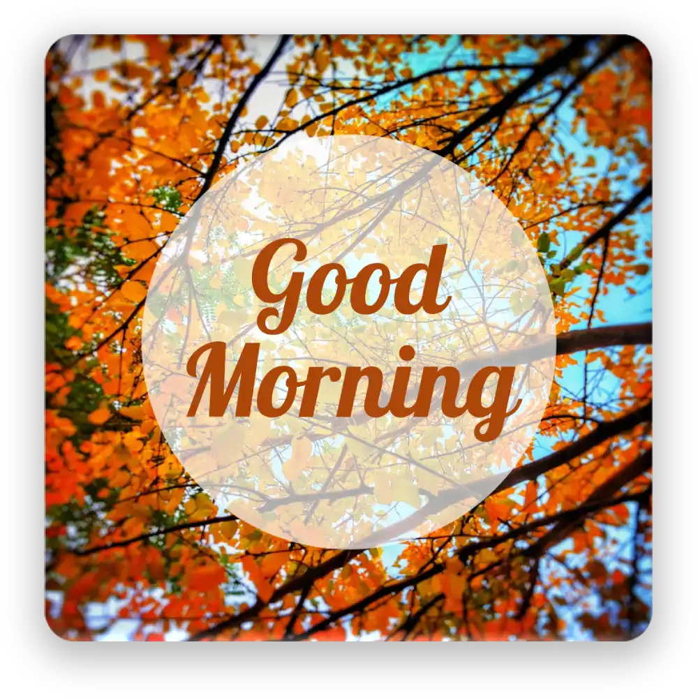 Good Morning Fridge Magnet