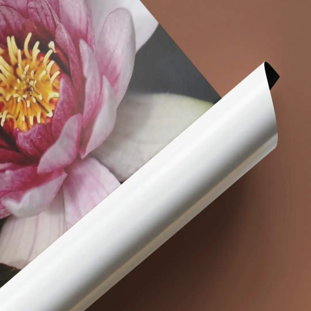 Customized Paper Posters Pack Of 5 - Image 3