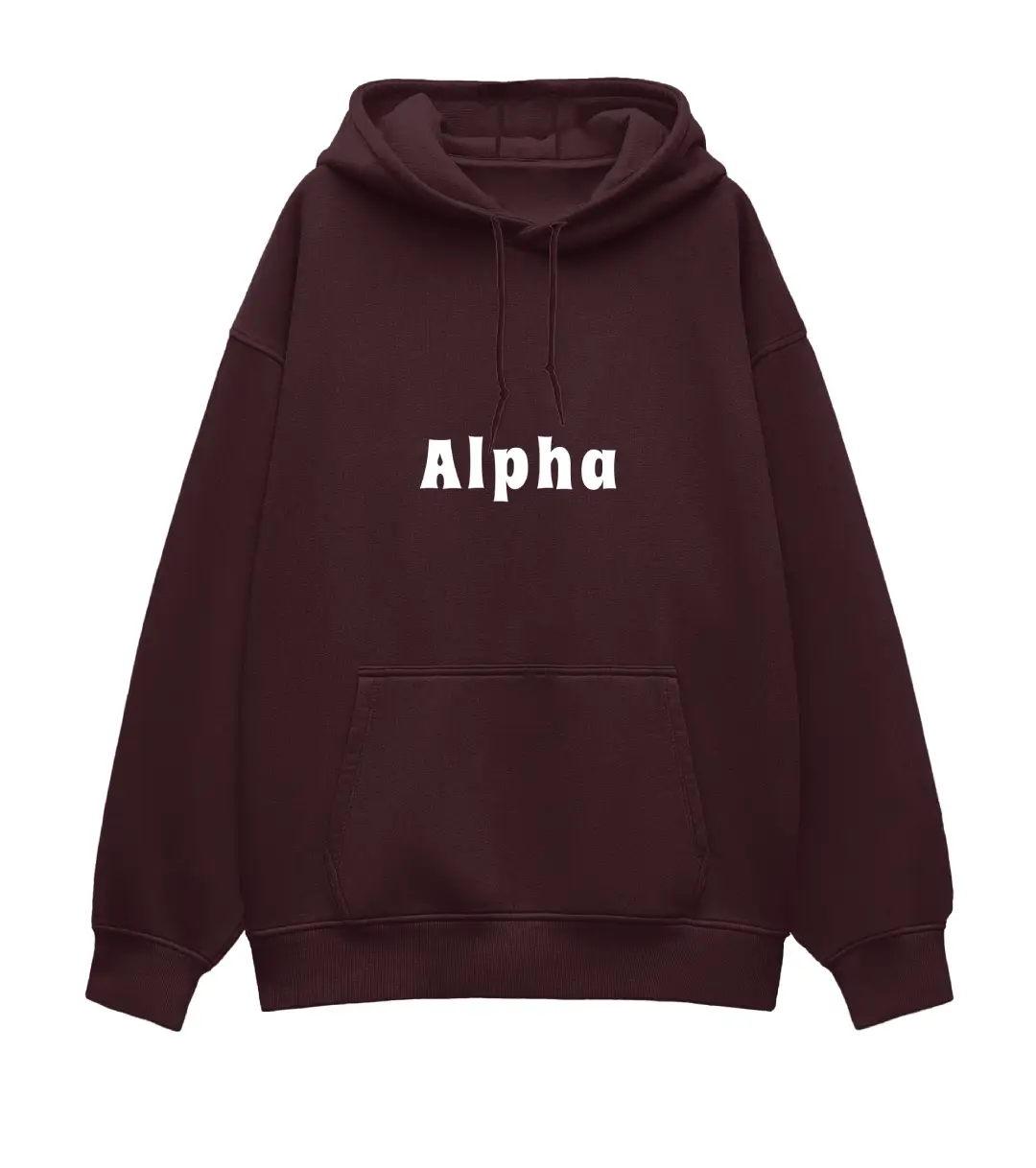 Alpha Heavyweight Oversized Hoodie - Image 3