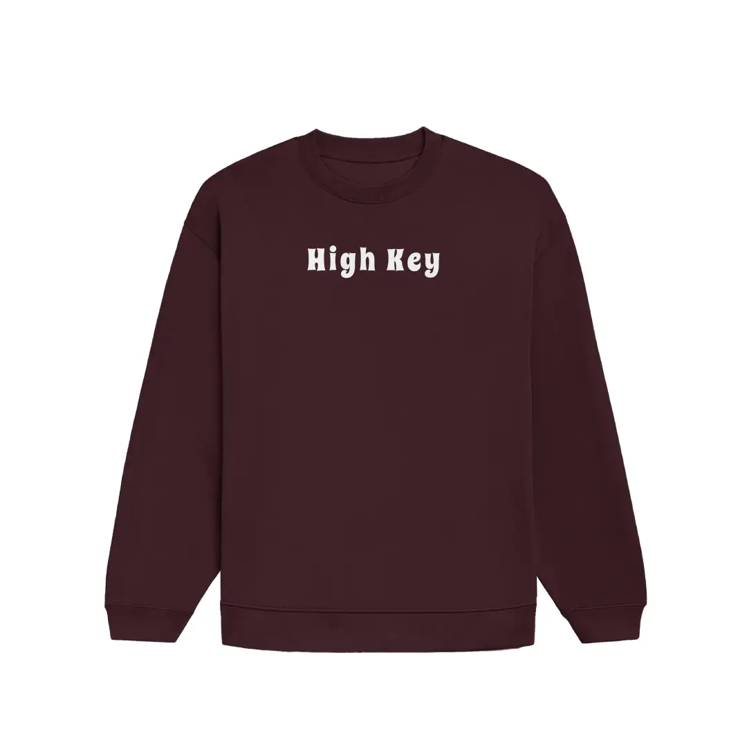 High Key Heavyweight Oversized Sweatshirt - Image 3