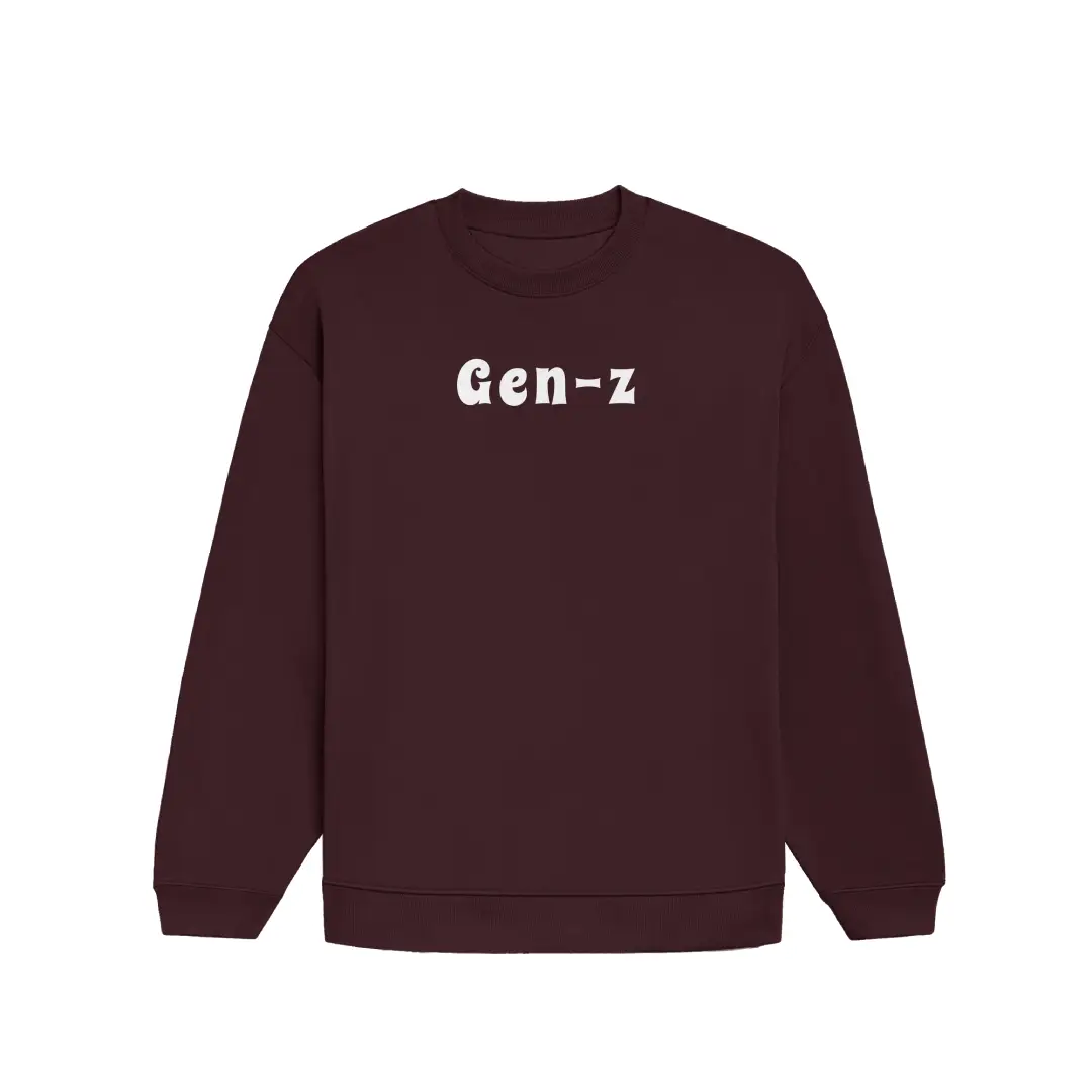 Gen-Z Heavyweight Oversized Sweatshirt - Image 4