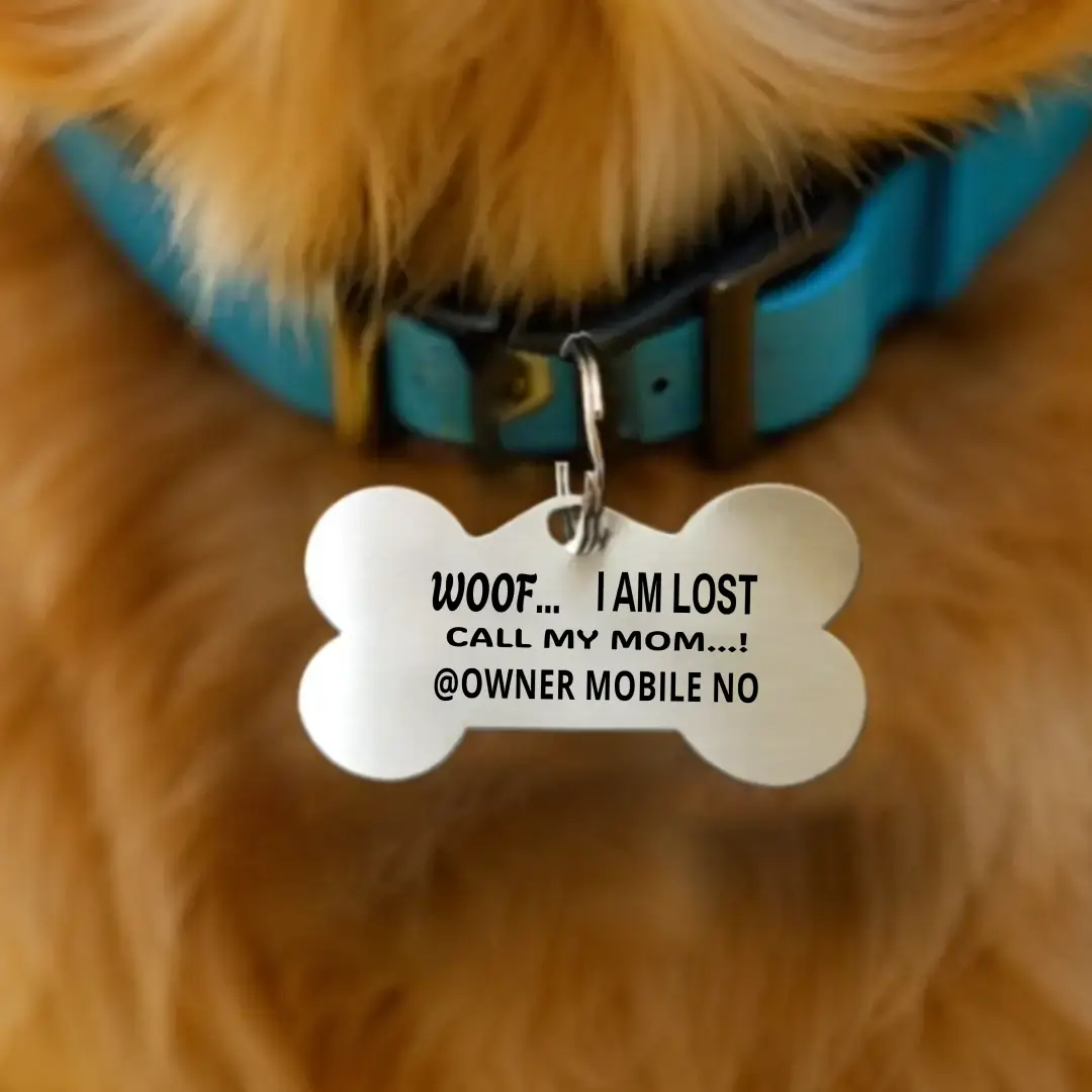 Customized Bone Shape Pet Tag - Image 2